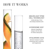 Meaningful Beauty Youth Activating Melon Serum