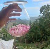 petalos de rosas enbotellados hampi ayllu