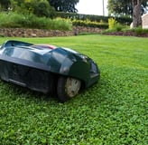 robot tondeuse dans un jardin