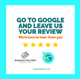 reviews, review,customer review,happy customer reviews, what our customer are saying.