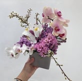 Aranjament floral în nuanțe de roz, mov și alb, cu orhidee și flori de primăvară, într-un ghiveci.