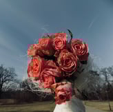 Buchet de trandafiri roz-somon, fotografiat în aer liber pe fundal de cer senin și copaci de iarnă.