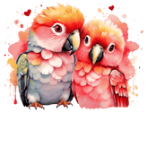 two parrots sitting on a black background