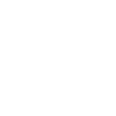 LOGO CHEMICAL NOISE