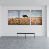 Triptych landscape painting by Martin Osner showing a single tree in a golden field under a soft grey sky, on exhibition