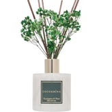 Cocorrína Reed Diffuser Eucalyptus & Moss Scented Diffuser with Sticks