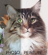 Comparaison photo et peinture de Jerka, chat Maine Coon