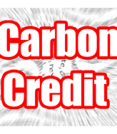 Créditos de Carbono