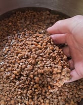 lentilles de cilaos