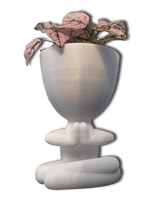 Pots de fleurs modernes