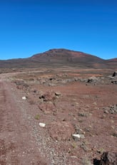 route forestière du volcan