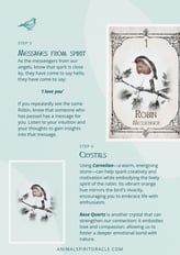 A page from the free robin spirit animal pdf 