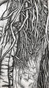 Ink drawing of an ancient banyan tree intertwined with aerial roots