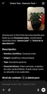 Agente IA