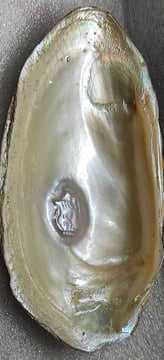 "White divine face pearl–cultured via nucleus method, 11mm handcrafted finish-for international trade"