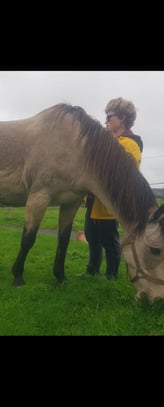 Une jeune femme aveugle interagit avec un cheval. Sentiment de bien être confiance, sécurité