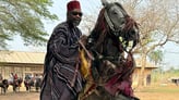 A Horse man Sitting on the Horse during the Gaani Festival in Nikki Benin