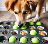 a dog using a DIY slow feeder