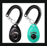 a pair of keychains with a camera attached to a keychain