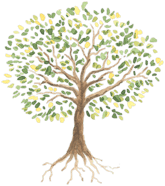tree rotted in craft and raised in quality