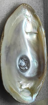 "White designer pearl with sacred face design–11mm using nucleus method-for global shipment"