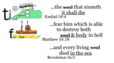 Revelation 16:3 You should see