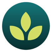 mundo ornamental logo