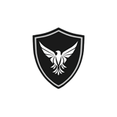 Schilling Capital Investments logo