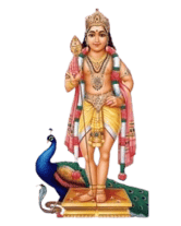 SREE SUBRAMANYA TRUST logo