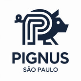 PIGNUS CORRETORA DE SEGUROS LTDA logo