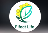 Pirfect Life الحياة المثالية logo