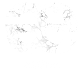 logo centre de formation - formation agora - le havre
