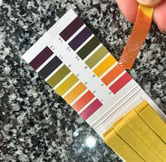 checking the pH against a colour chart, pH4