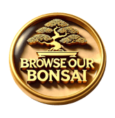 Decorative Medallion used as a button for link to view bonsai trees for sale.