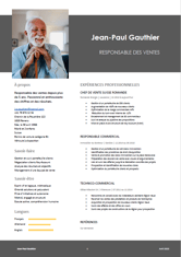 a resumen for a job in a resume