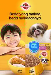 Pedigree campaign visual showing a young child with fried chicken and a Shih Tzu puppy with Pedigree