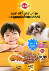 "Three Pedigree campaign visuals showing a young child and a Shih Tzu puppy with different bowls of