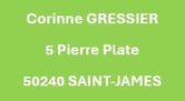 fond vert et nom et adresse du site