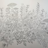 illustrazione di piante botaniche ad inchiostro
