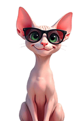 gato esfinge con gafas