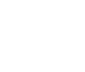 Personal Vip Wellness logo