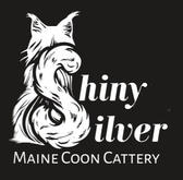 shiny-silver logo