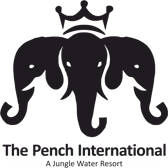 The Pench International logo