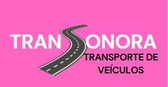 Transonora Transporte de veículos logo
