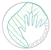 Orthonom logo