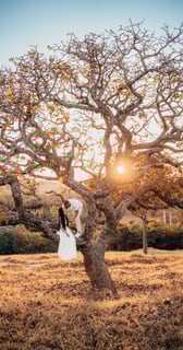Fotografo de casamento BH