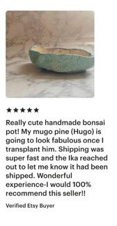 customer review bonsai pot