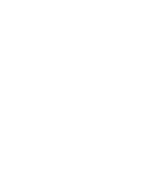 Qi Team Logo