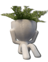 Pots de fleurs mignons