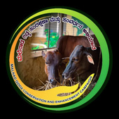 Malnad Gidda logo
